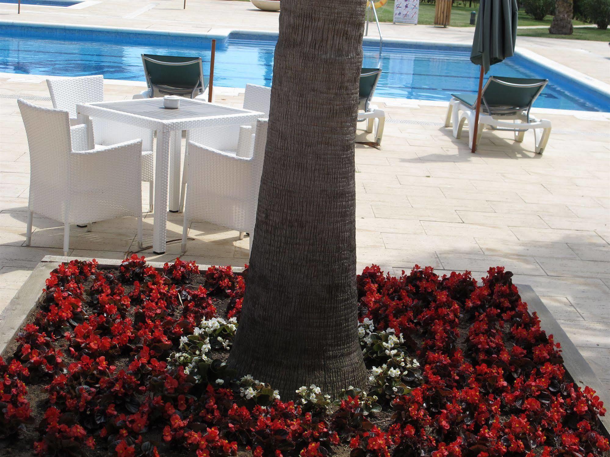 Hotel Clipper - El Delfin Verde Resorts - Platja De Pals Torroella de Montgrí Exterior foto